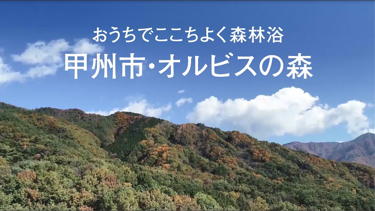 甲州市・オルビスの森　環境活動報告動画