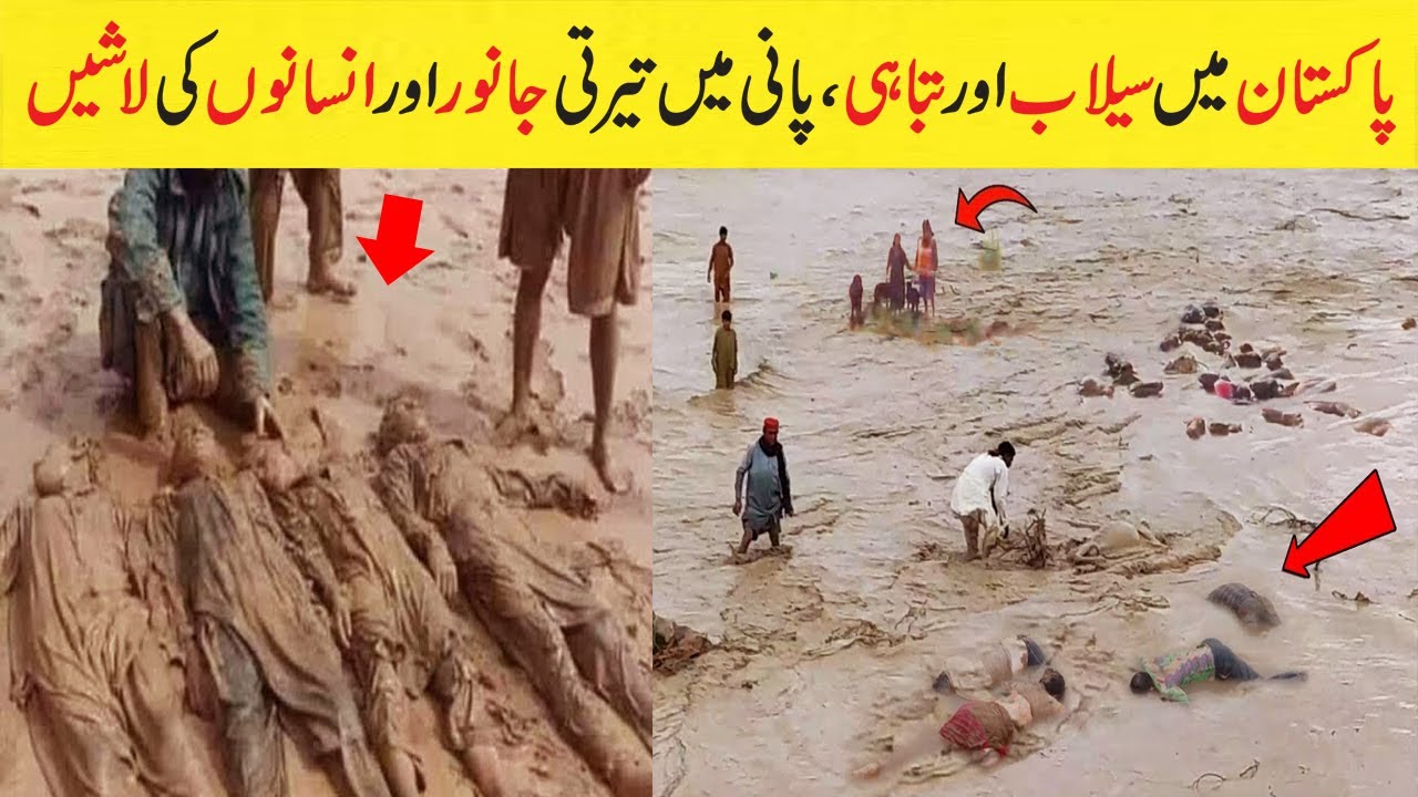 Pakistan Mein selab ki tabah kariyan | flood in pakistan | flood in Balochistan