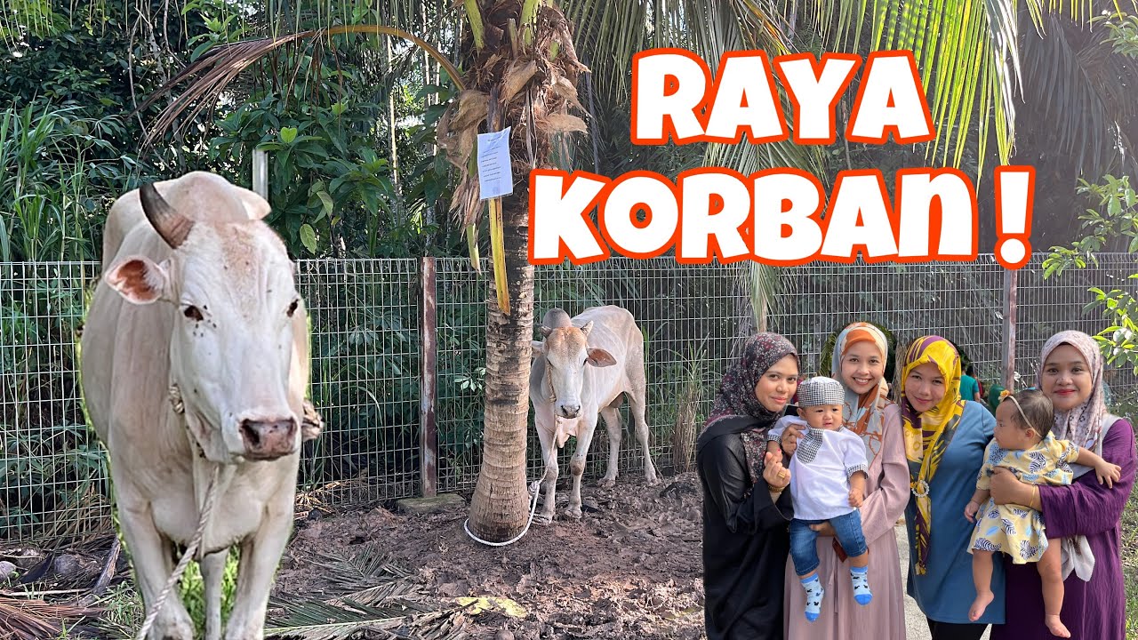 vlog raya haji | open house