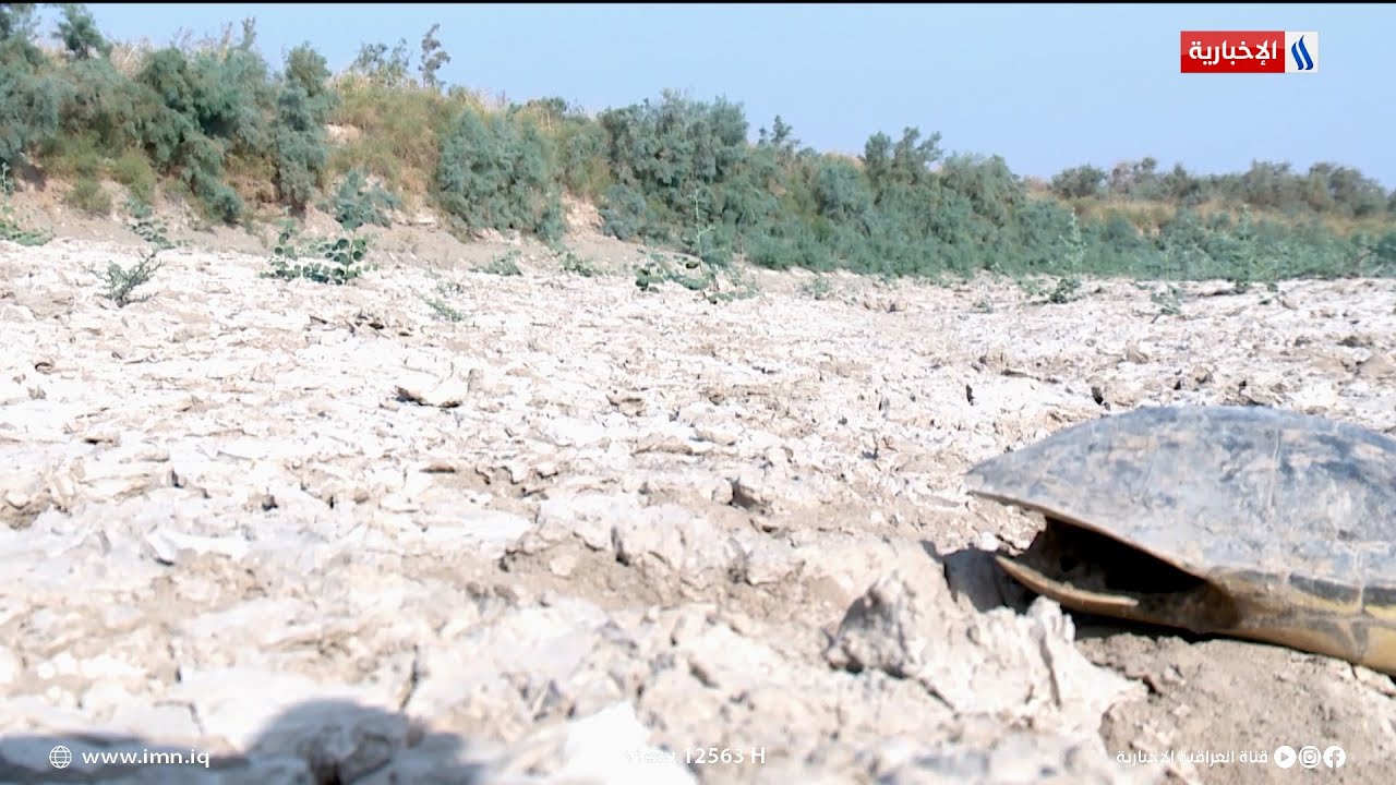 ميسان هور أم النعاج يستسلم للجفاف والسكان يهجرون الأراضي | تقرير علي الاحمد