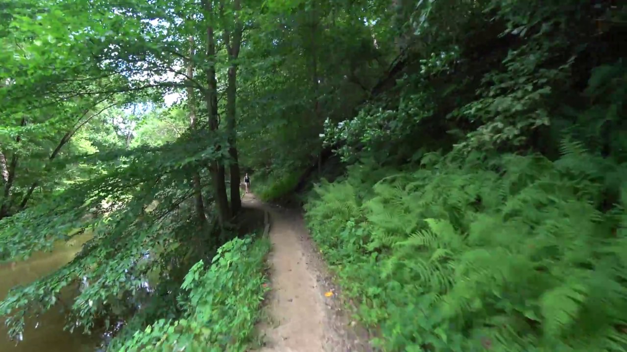 4K Trail Run DC - Rock Creek Park Northern Loop