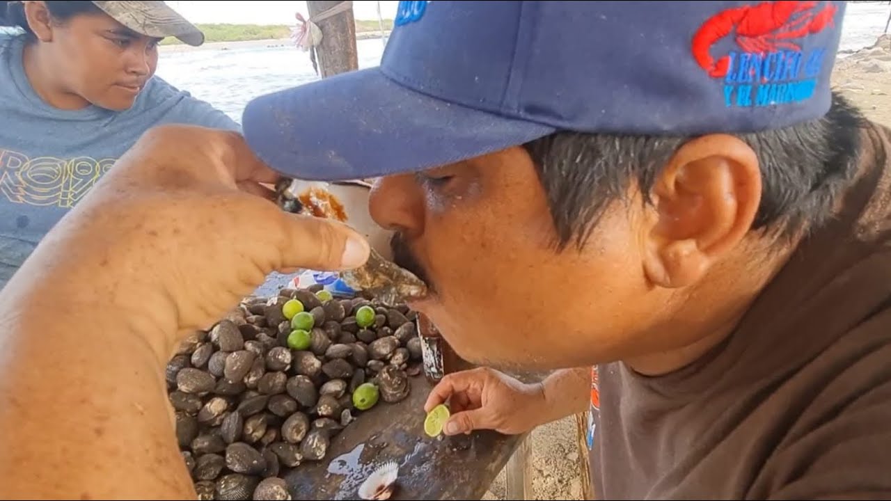 unas Almejas y ostiones en boca del río guasave mariskero encontró a su hermana gemela