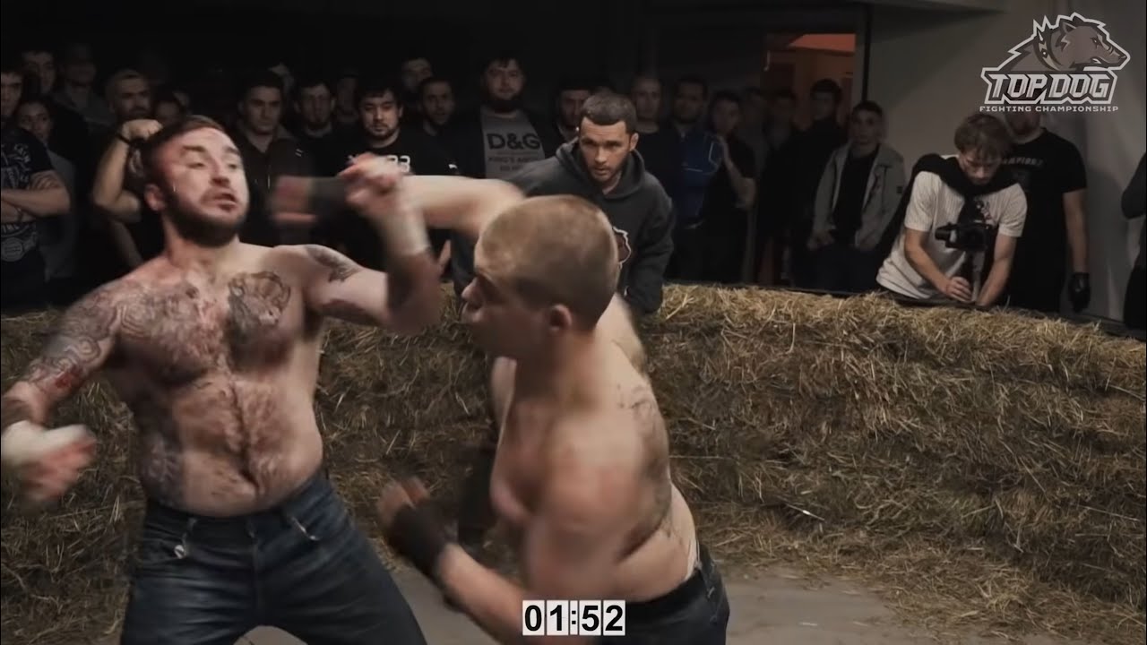 Andrej Panda Meshkov vs Sergej Illyin Seryoga Top Dog Staffel 1 Fight 2/5