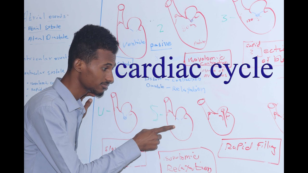 Cardiac cycle || afsomai || Dr jaabir