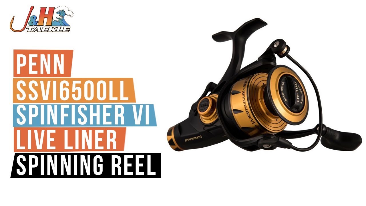 Penn SSVI6500LL Spinfisher VI Live Liner Spinning Reel | J&H Tackle