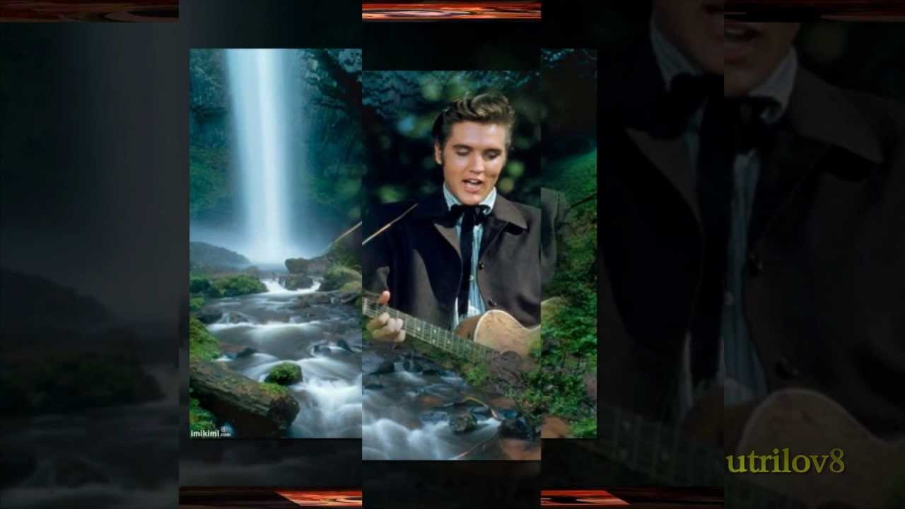 Elvis Presley - Singing Tree (With Lyrics)