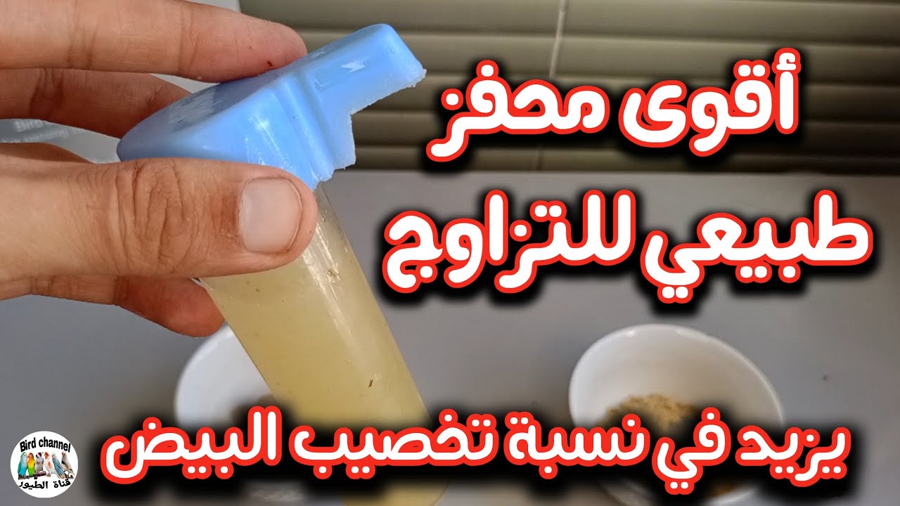 أقوى محفز للتزاوج لجميع أنواع الطيور طبيعي و فعال ويزيد في نسبة تخصيب البيض