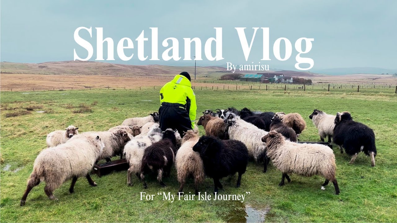 【Shetland Vlog】amirisu がシェットランドに行ってきました！