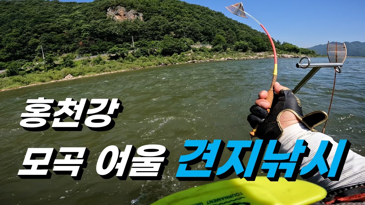 (214) 홍천강 모곡 여울 견지낚시