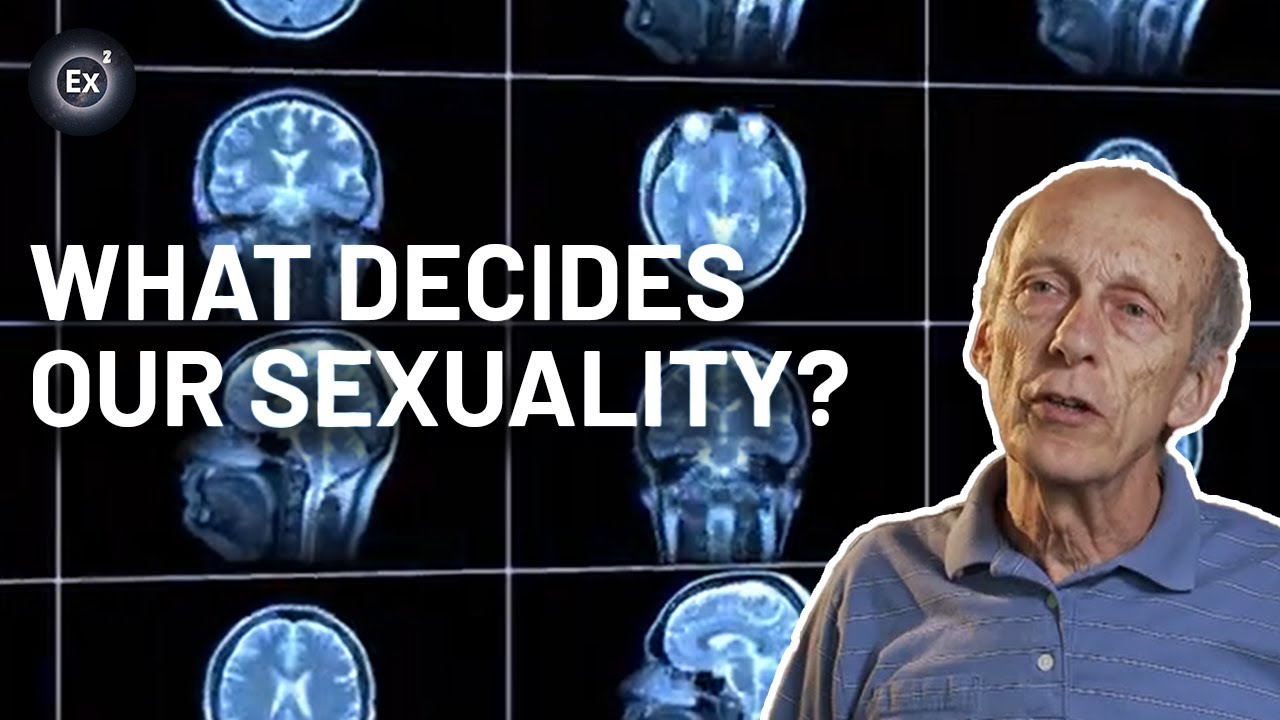 Can science explain our sexual orientation? | Experts Explain