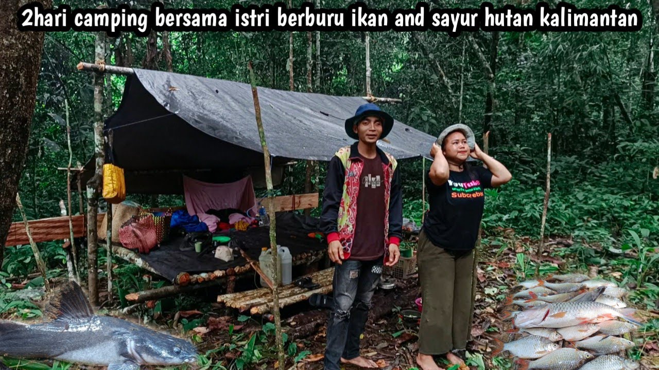 2hari camping istri senang berburu ikan and sayur hutan kalimantan