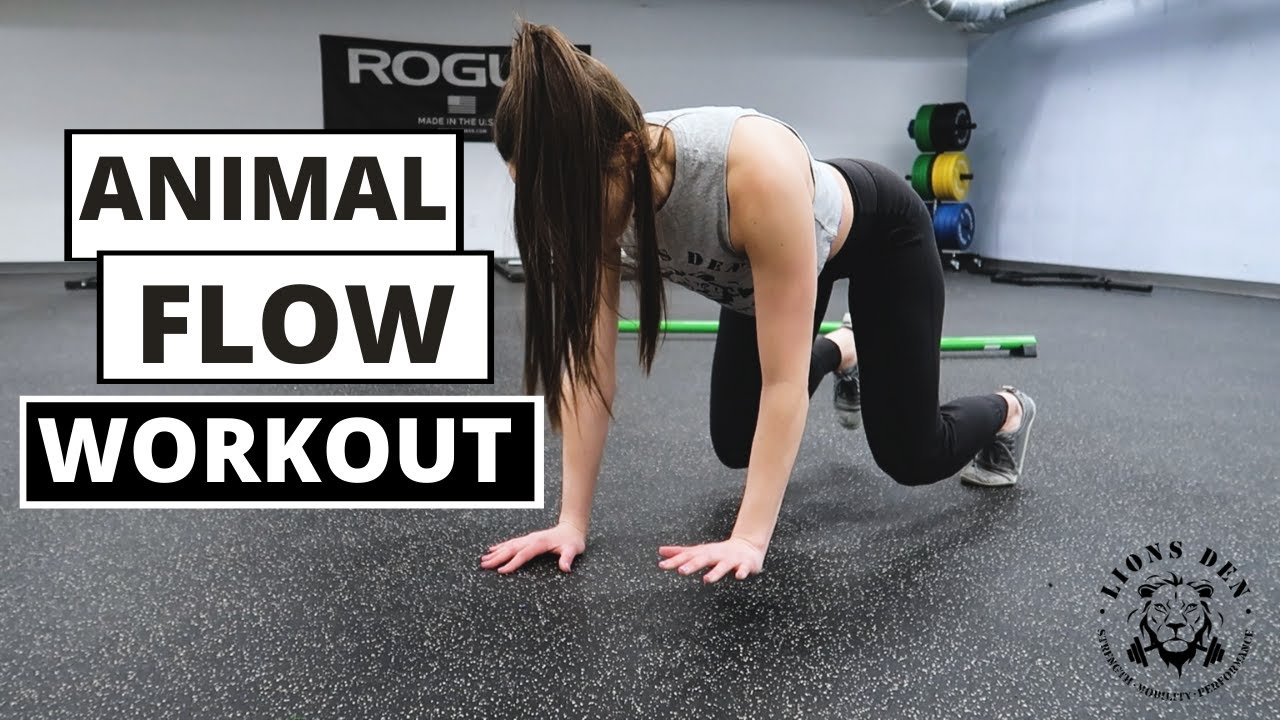 AT-HOME ANIMAL FLOW WORKOUT