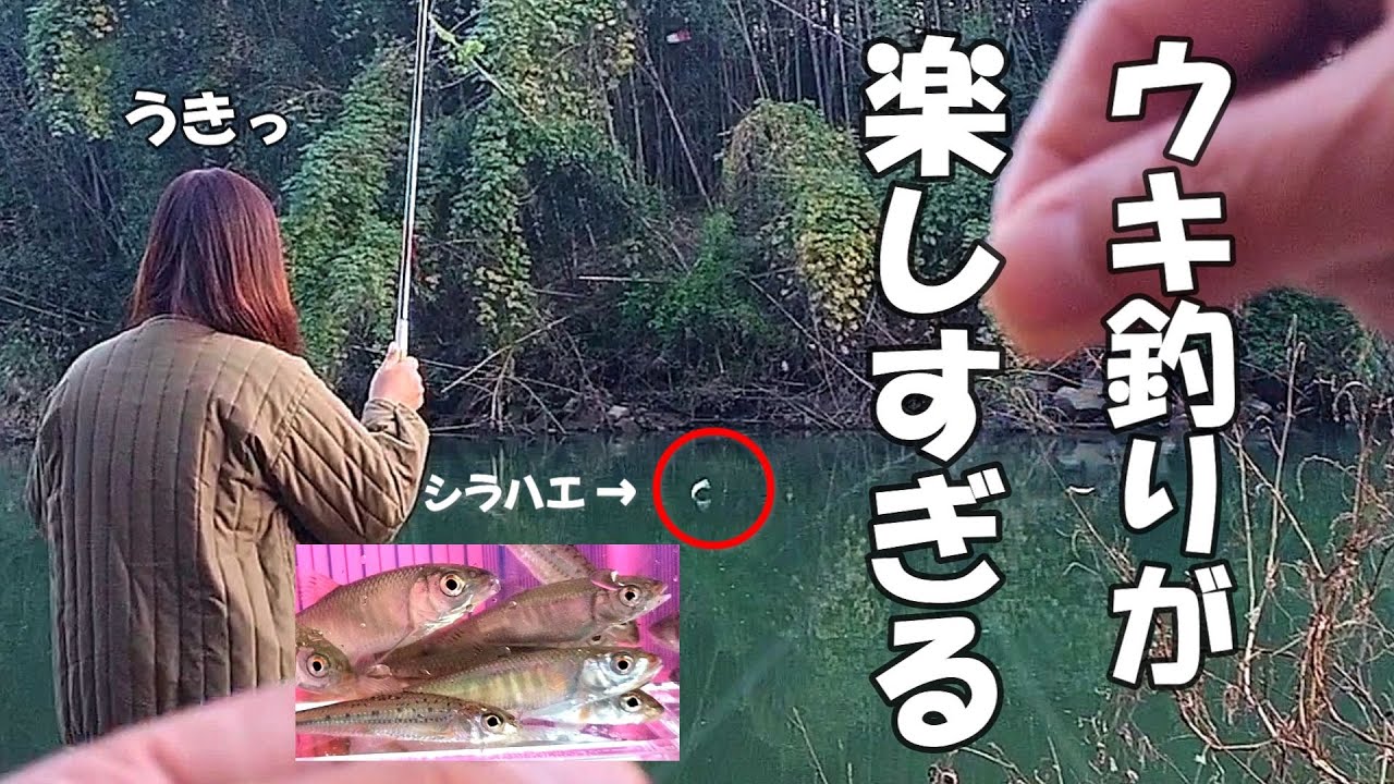 川釣り  簡単なウキ釣り仕掛けと釣り方／シラハエ／雑魚／小物釣り