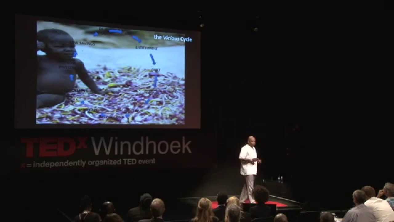 Investment leadership - a case for the youth in Africa: Tega Shiimi ya Shiimi at TEDxWindhoek