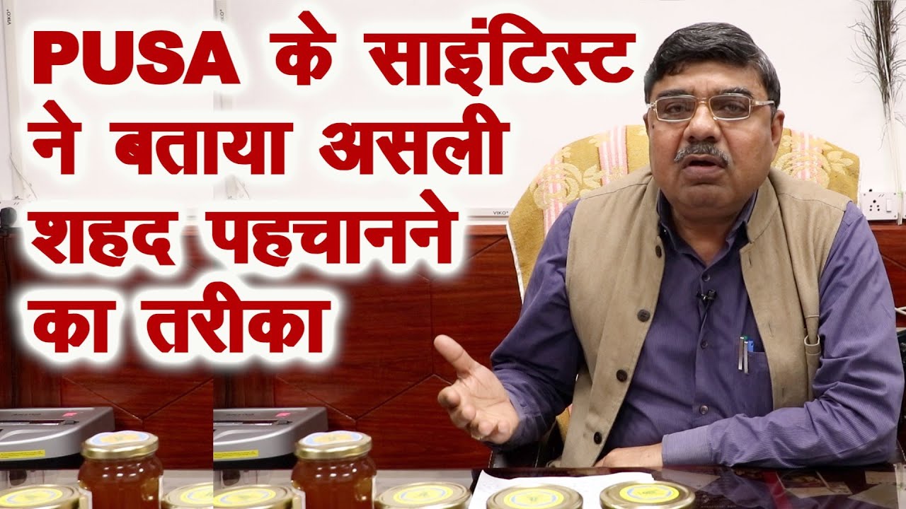 पूसा साइंटिस्ट ने बताया सिरप और असली शहद में फर्क Pure Honey for Good Health.
