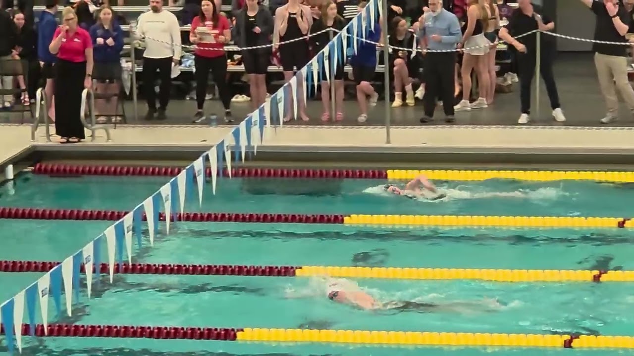 Vivian 500 free MN state 2026 March 14