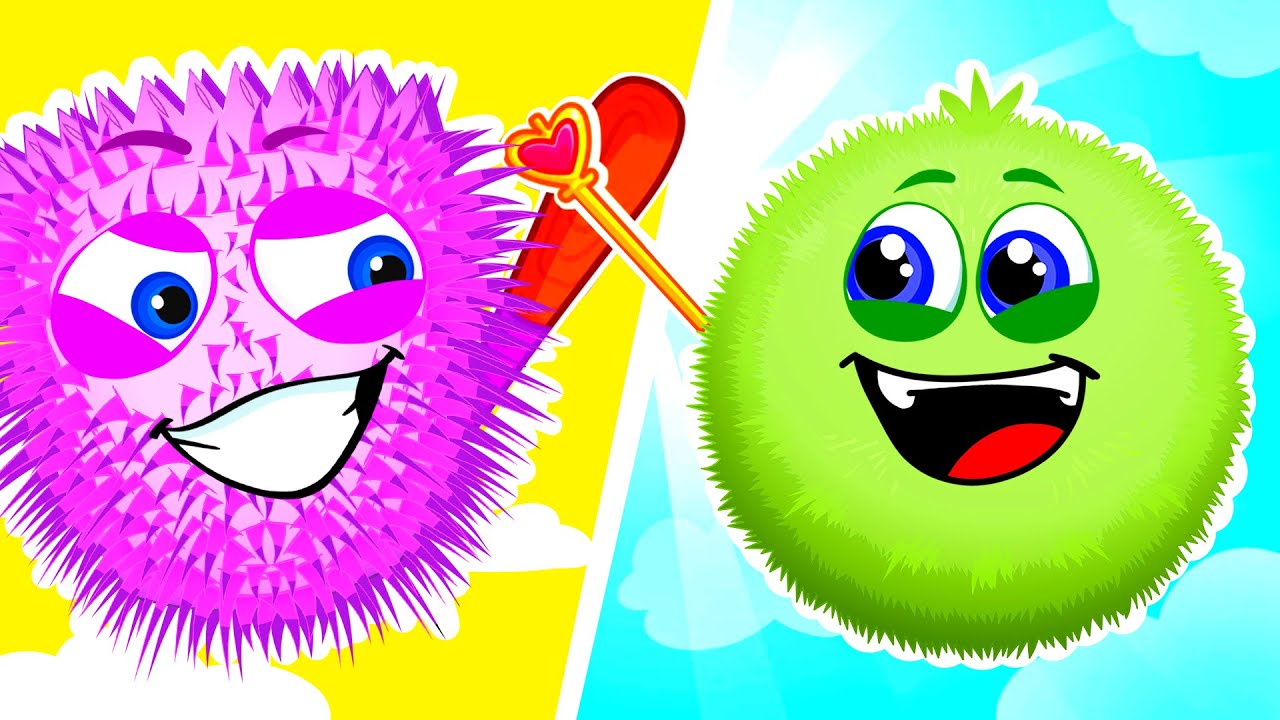 Dibujos animados Para Niños | Esponjosa esponjosa | Aventuras de Op y Bob