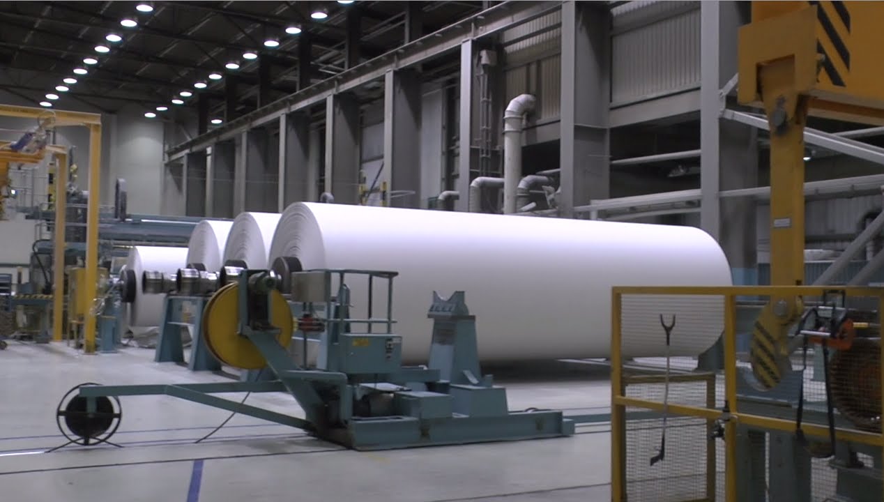 What happens to your paper recycling?