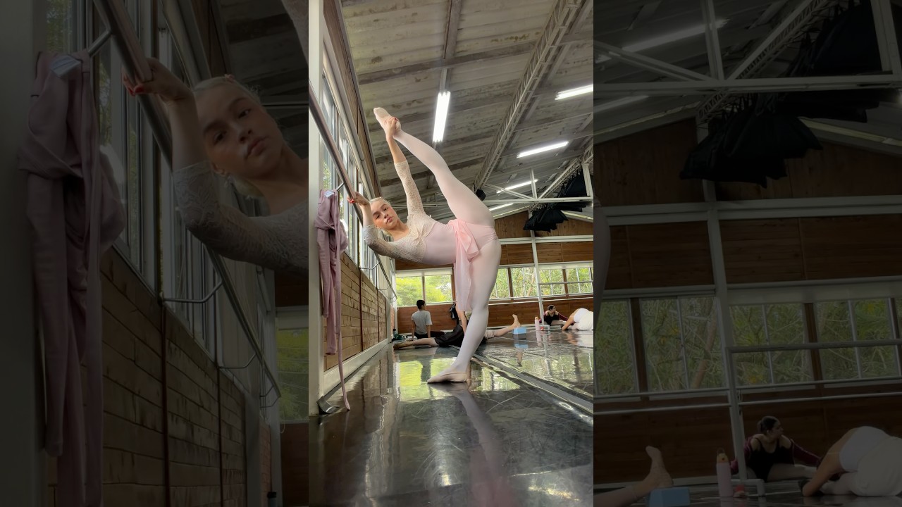 Barbie bailarina de ballet 🩰