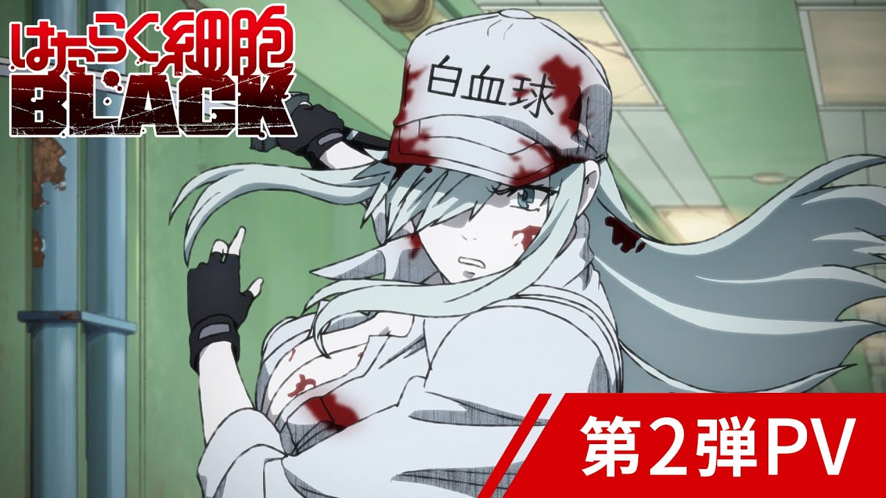 「はたらく細胞BLACK」第2弾PV│2021年1月9日放送開始