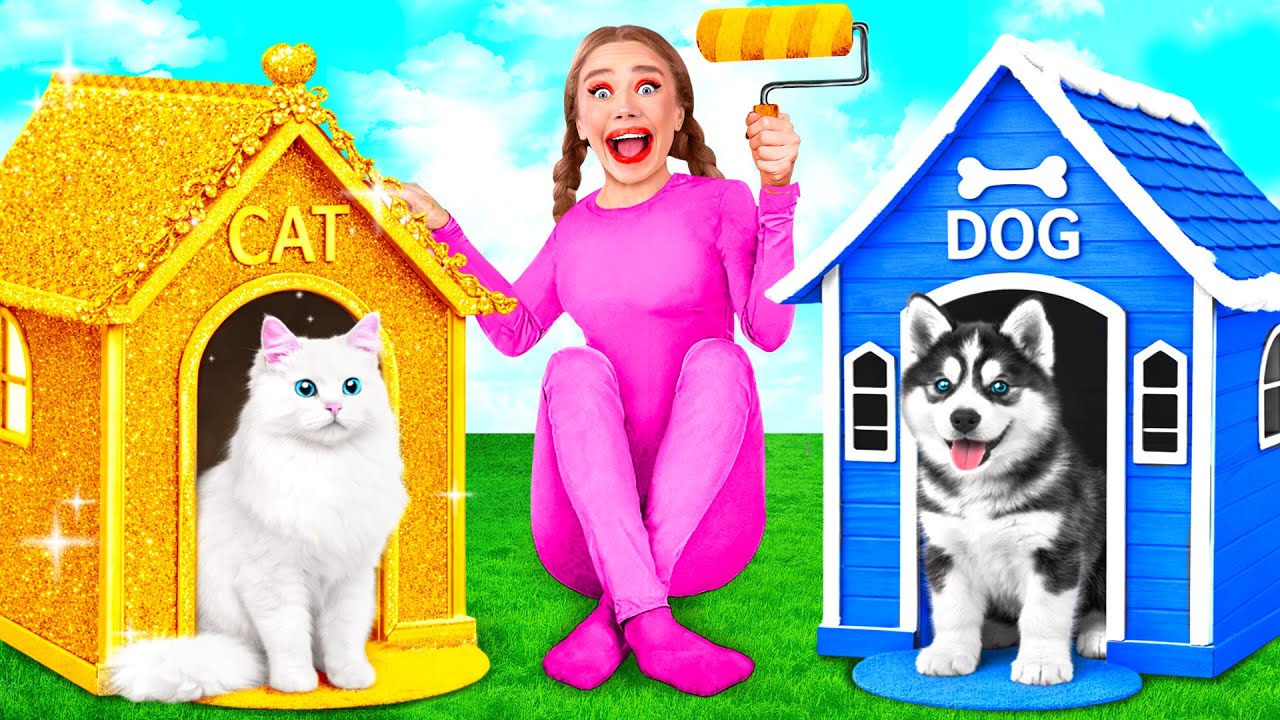 Строим Домики для Животных | Смешные Cитуации c GoFun Challenge