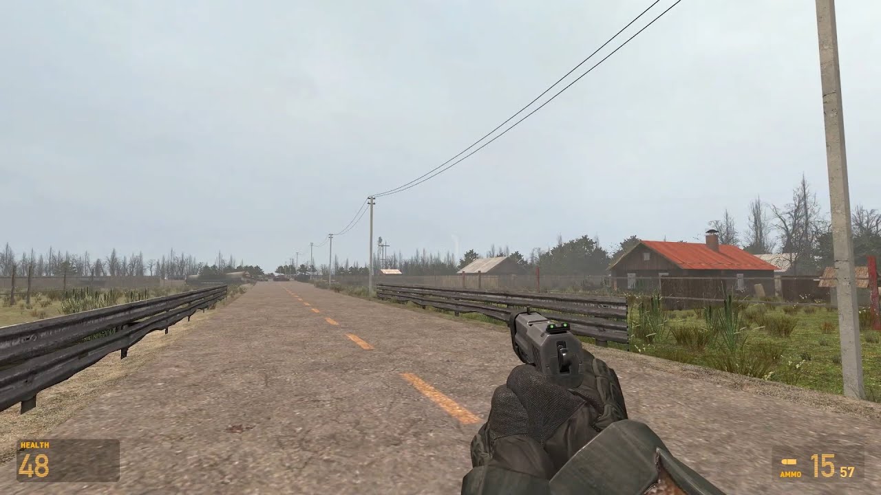 Half Life 2: Survivor
