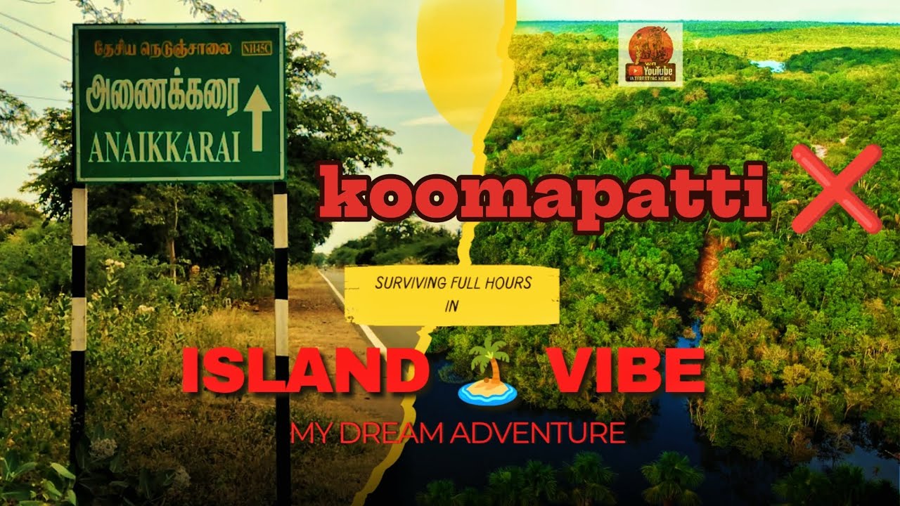 🌊  நதியின் நடுவே 💦 ஒளிரும் ...அந்த அழகிய தீவு 🌴!அணைக்கரை ஒரு கண்ணோட்டம் 😍 #kollidam #vilagelife 