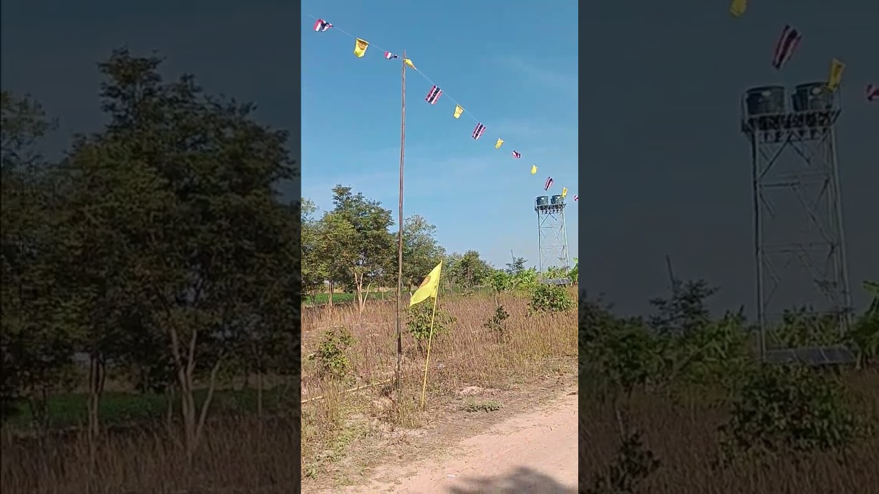 วัดป่าบุญมาวาส