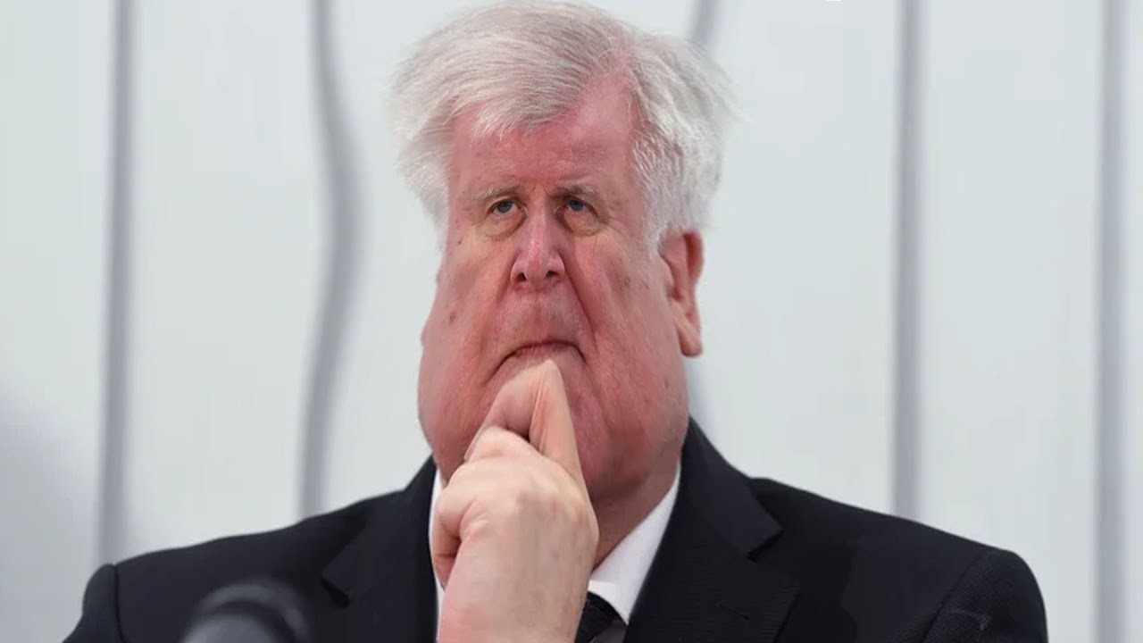 Horst ist ein bisschen dumm | Quality Content