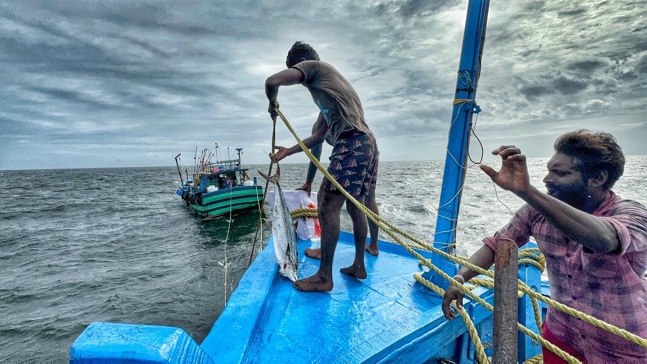 WOW! We Traveled For Long Days In The Deep Sea and Caught Tuna | Day 13 TO 16 | Season-05 | Part-03