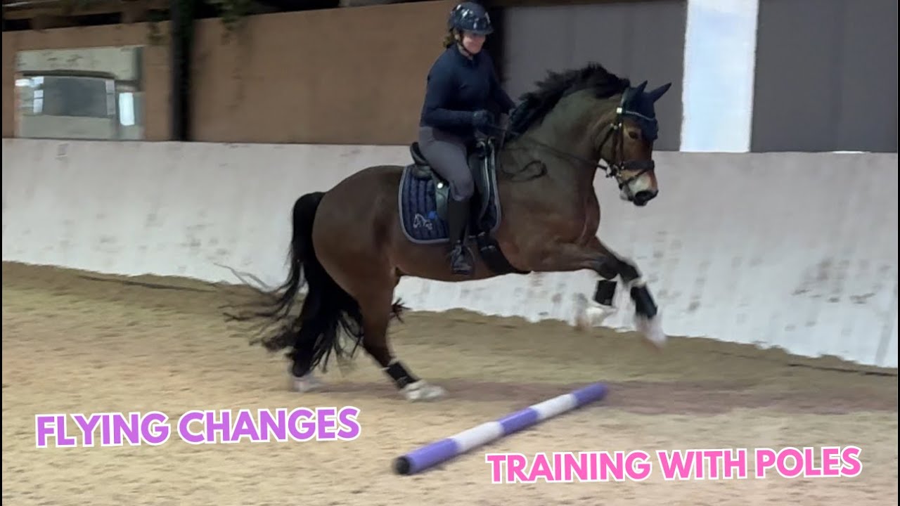 Back Working on Flying Changes With Hayley Watson Greaves