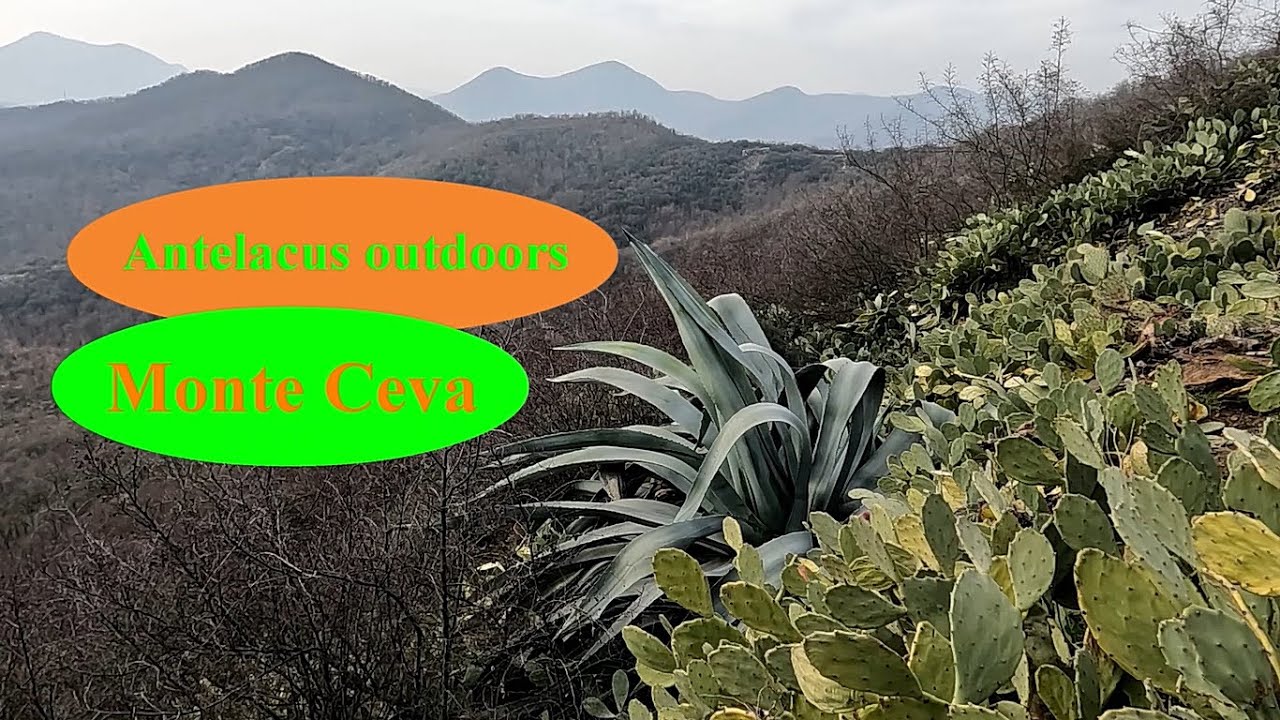 Monte Ceva - Sui Colli Euganei, fra fichi d'India e macchia mediterranea