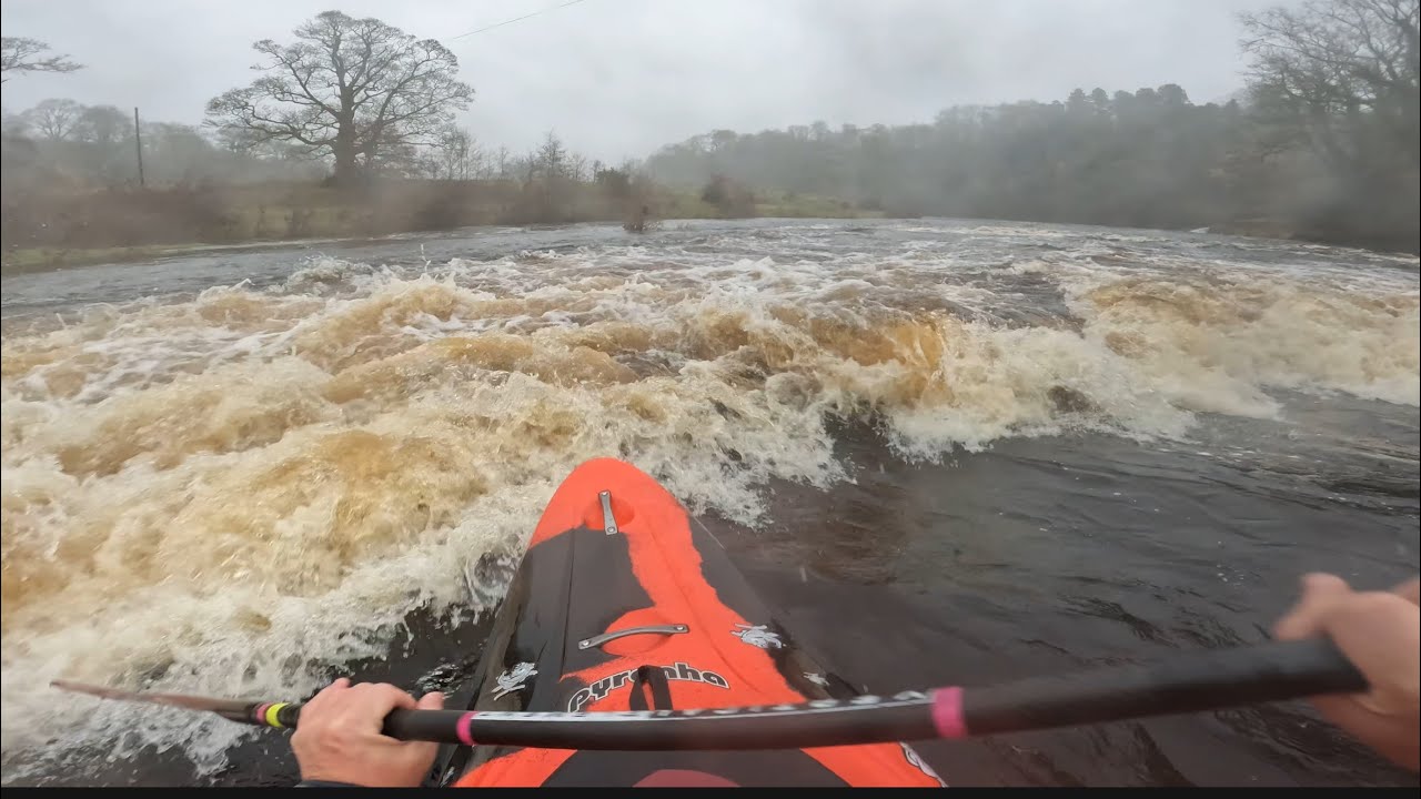 River Tees .82 (Abbey Bridge lay-by to Winston) 7 Dec 25