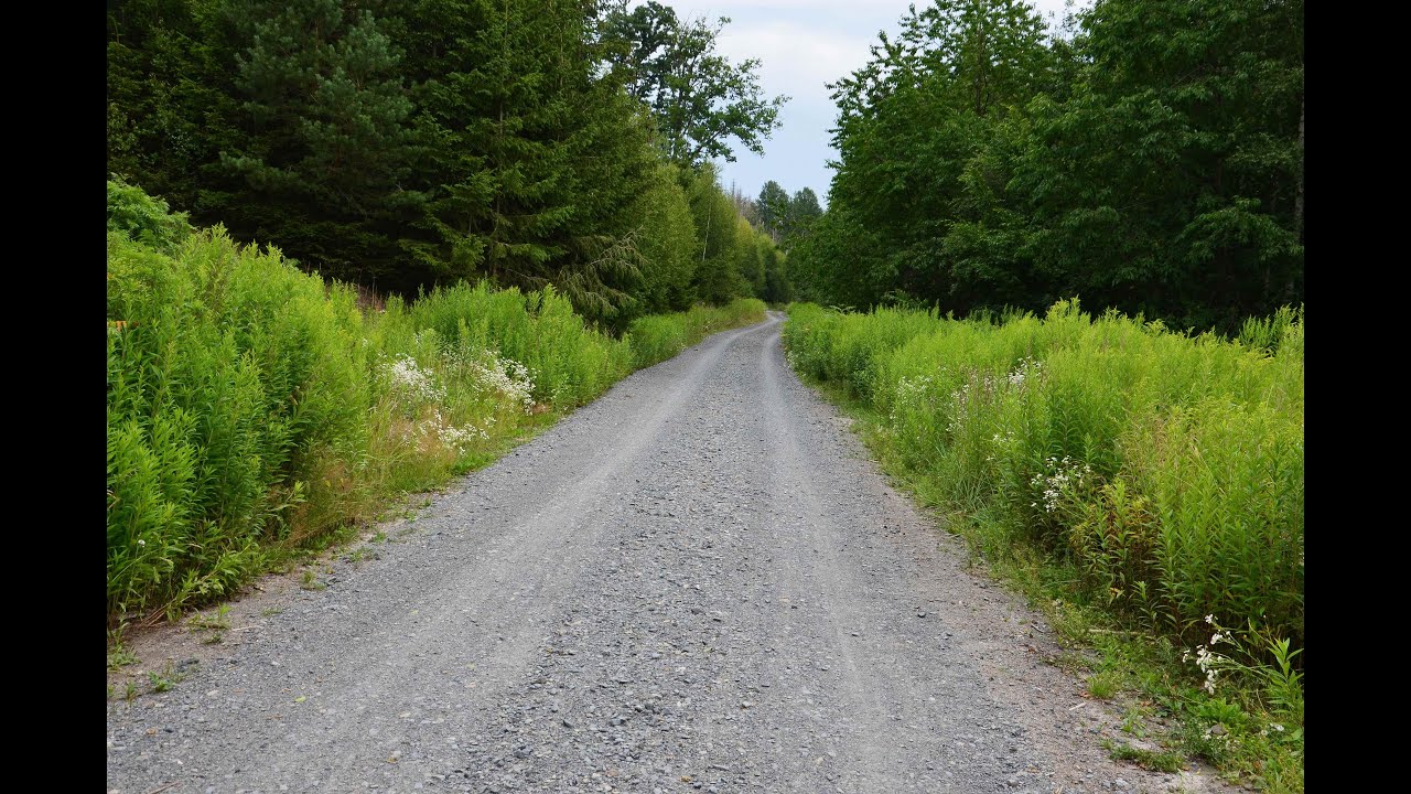 Filmwanderung x Arnsberger Wald - Hevetal - Hevefluss x 25. Juli 2022