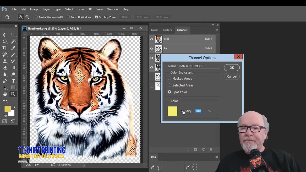 Creating Channel Color Separations in Photoshop - Master Class - Lesson 7