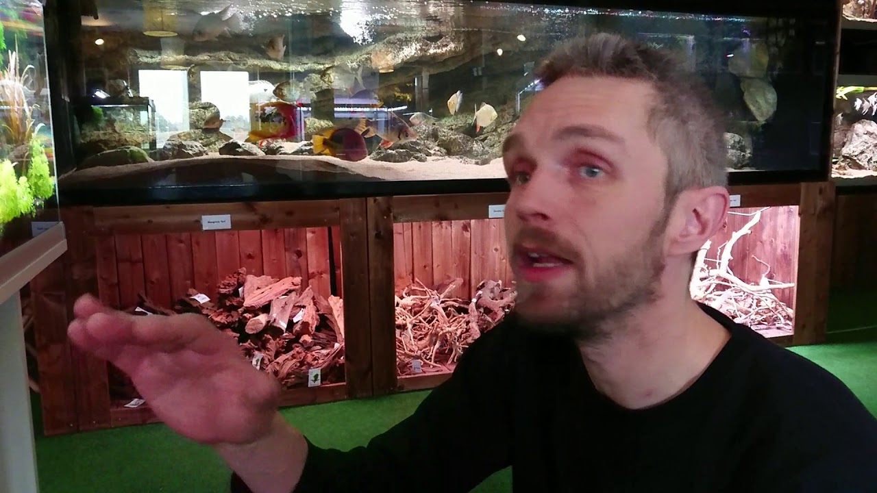 Montering af CO2-anlæg fra Blau Aquaristic. Mega simpelt!