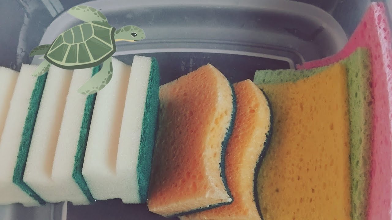 ASMR Sponge Squeezing and Ripping in Water 💛💚🩷🐢🍋
