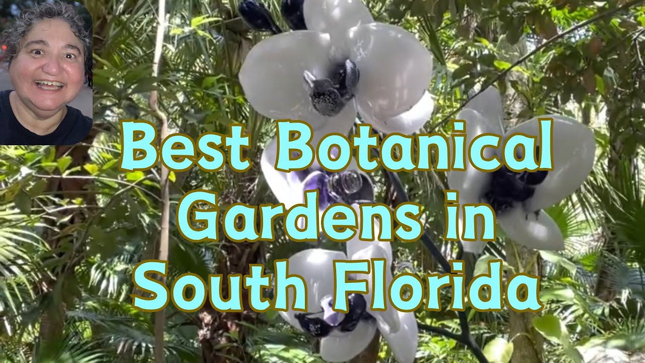 Best (Top) Botanical Gardens in Southern Florida with RockinRobin 103 - What you need to know