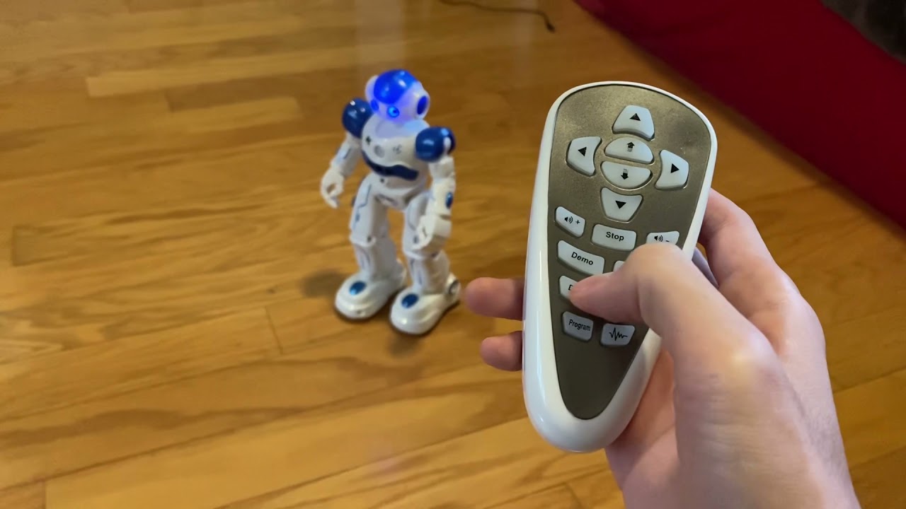 🤖Cady-Wida robot🤖