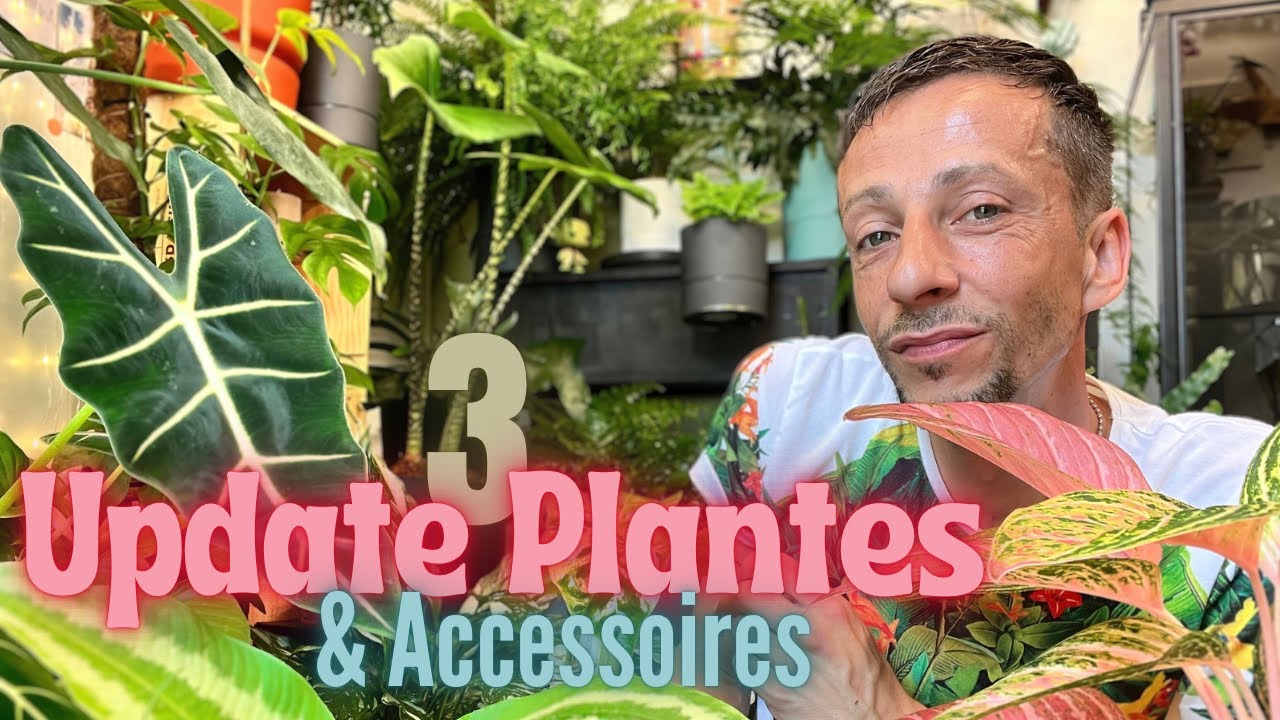 #33-Update Plantes [ épisode 3 ] Content / Pas content #plantaddict #plants 🪴