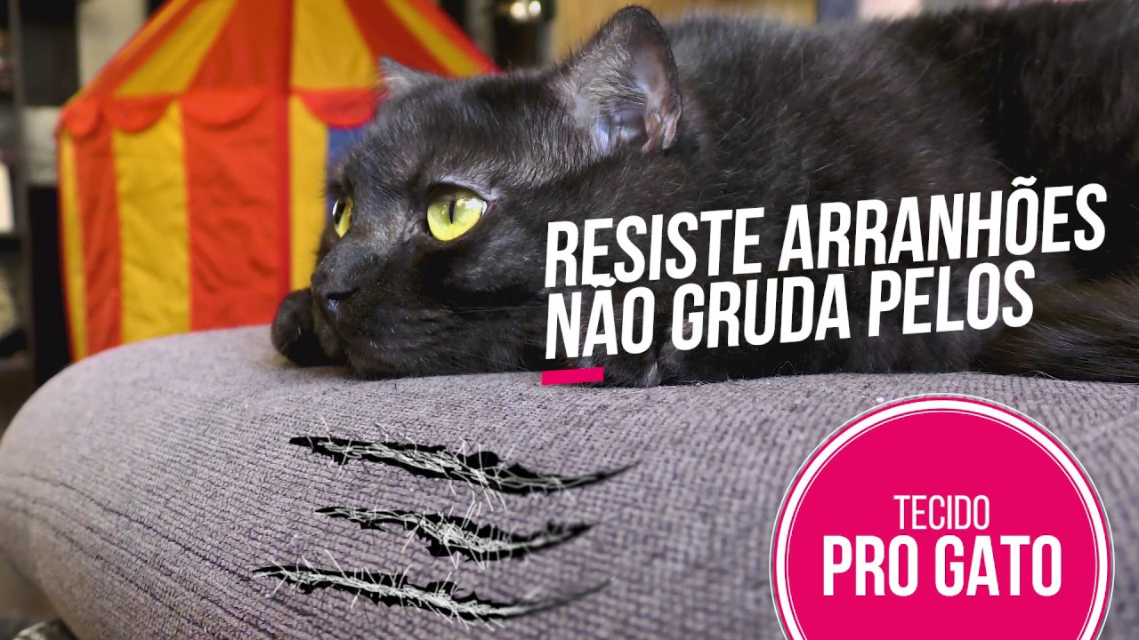 Tecido PR&Oacute;-GATO! Imperme&aacute;vel, n&atilde;o gruda pelos e resiste a arranh&otilde;es. S&oacute; na Seu Sof&aacute;.
