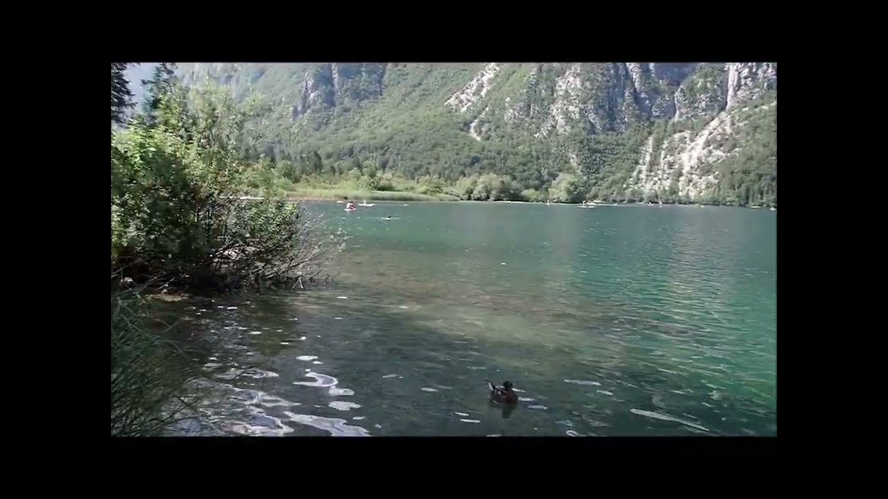 Bohinj Camp