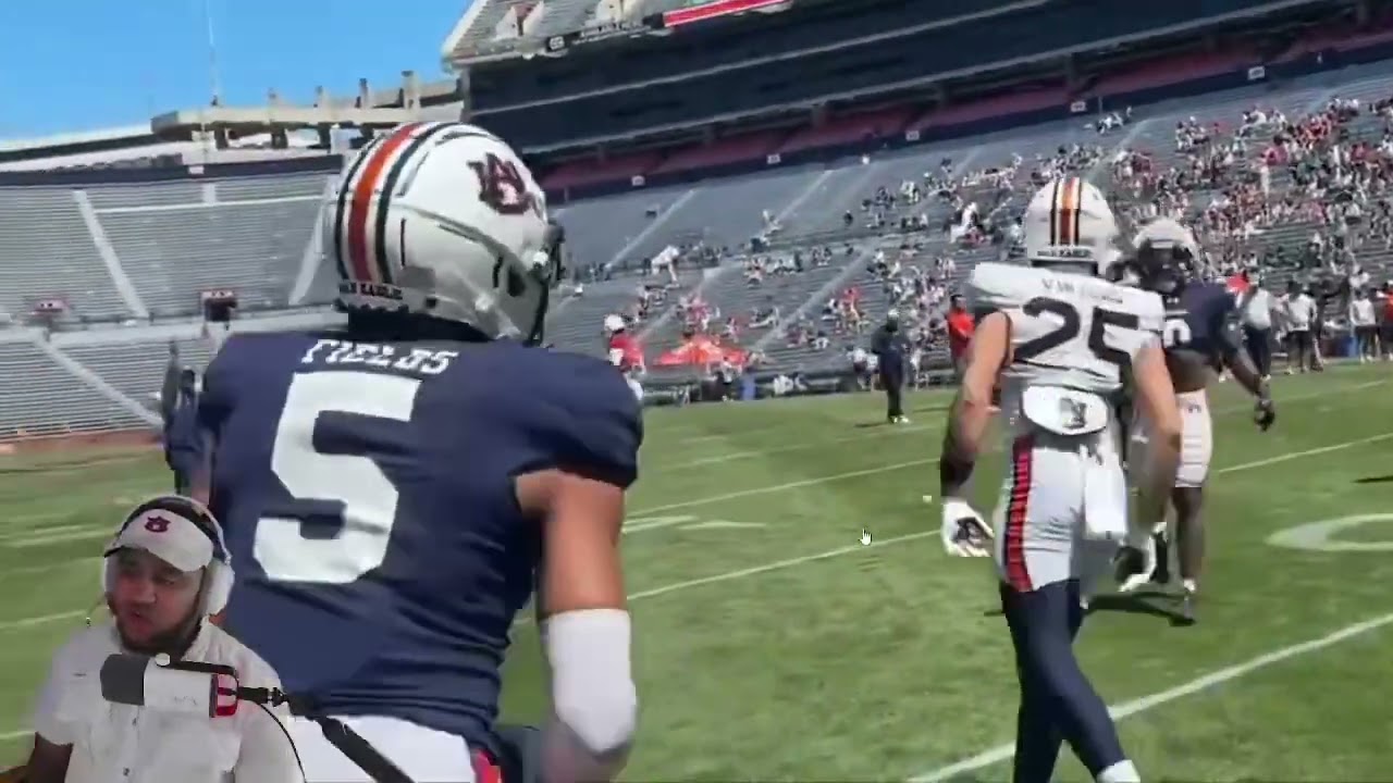 Auburn Spring Game Highlights 2025