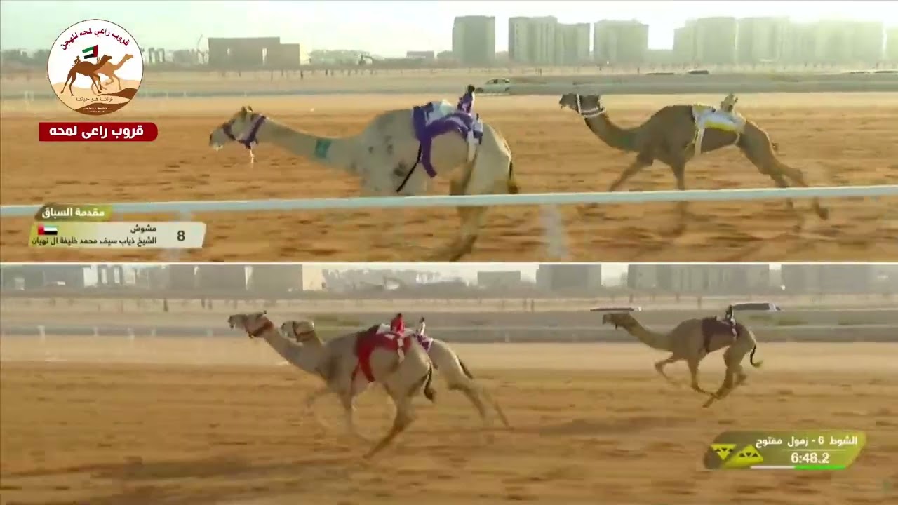 الشوط 6 .. أدهم لـ هجن الرئاسة 12:58:95( مهرجان خادم الحرمين الشريفين 2026 )