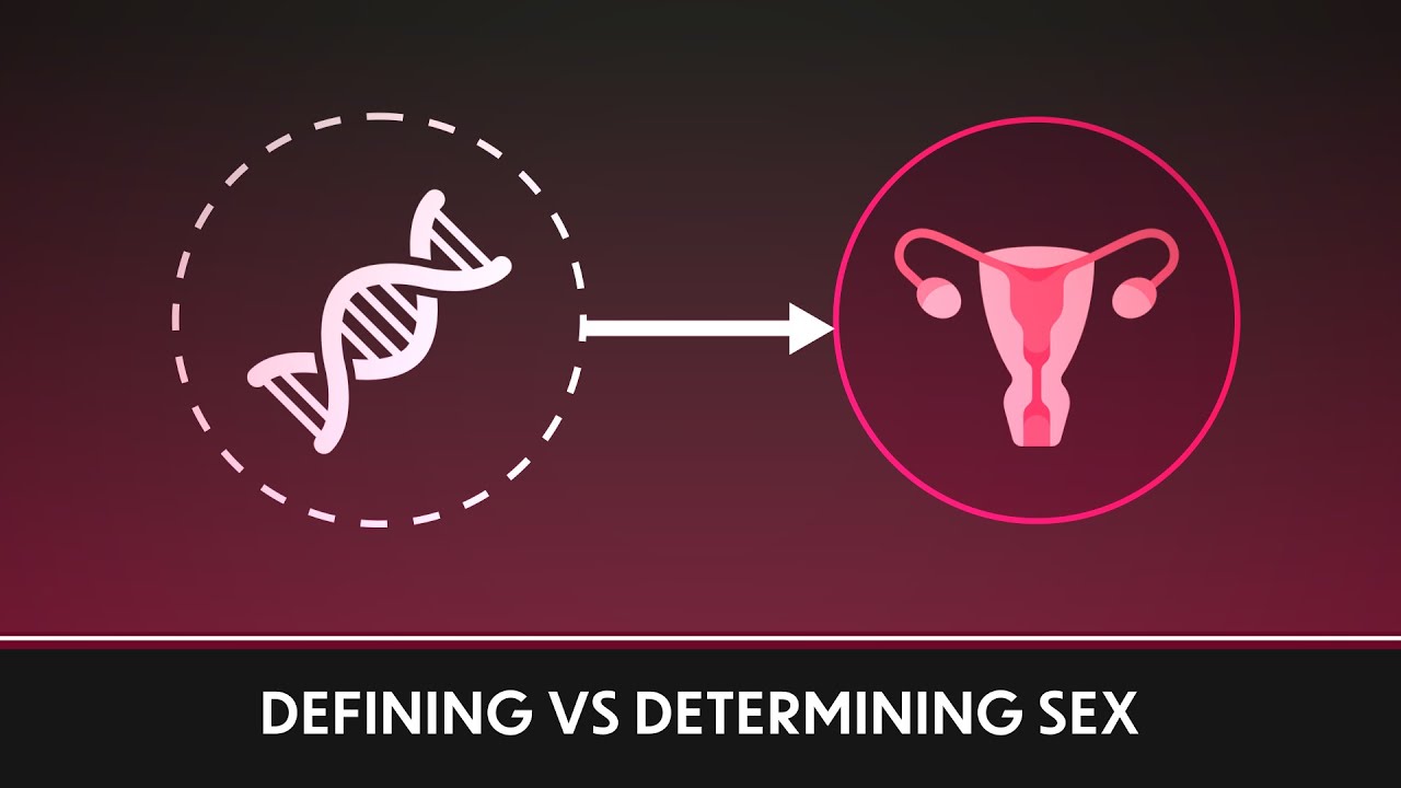 Defining Sex vs Determining Sex | Paradox Animations