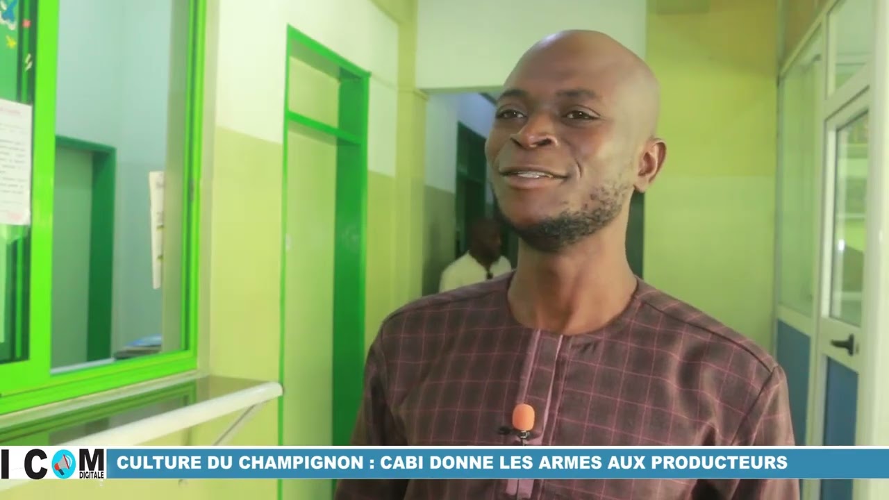 Culture du champignon: CABI donne les armes aux producteurs