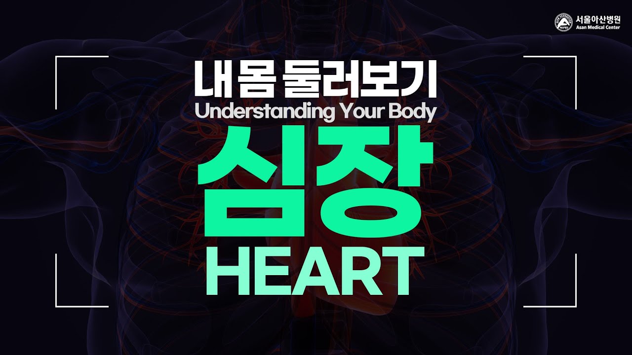 심장 [내 몸 둘러보기]