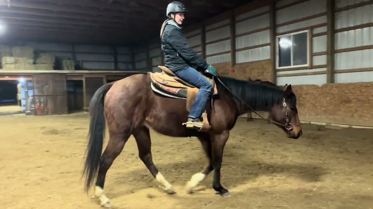 Robbie 3-2-26 update 
