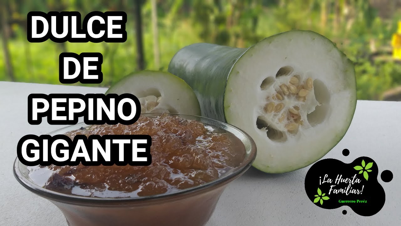 DULCE DE PEPINO🥒 GIGANTE Y ALGO MAS😋