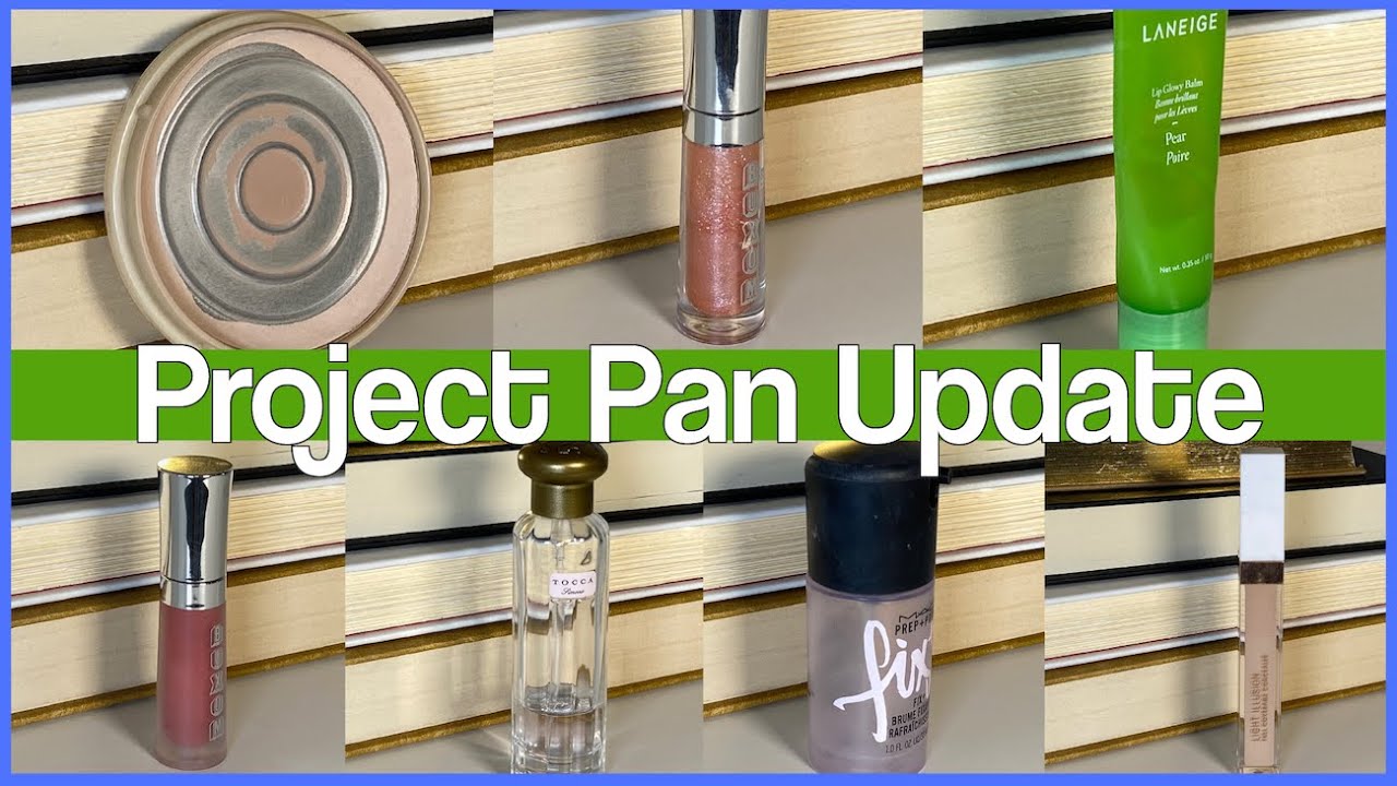 NOVEMBER PROJECT PAN UPDATE | Team Project Pan | My Project Pan 2020